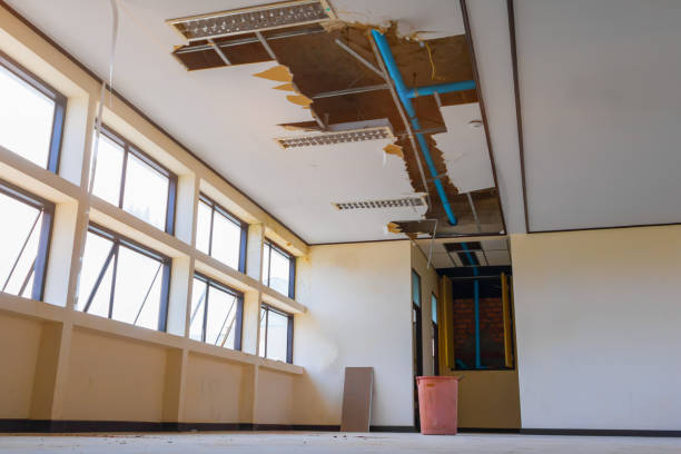Best Carpet water damage restoration  in Mayville, NY