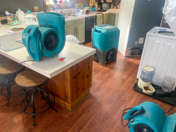 Best Water damage restoration cost  in Mayville, NY
