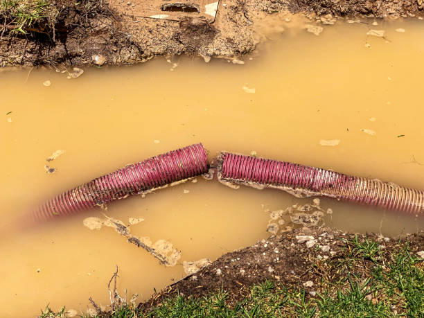 Best Water damage cleanup near me  in Mayville, NY